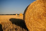 straw-bales-726977_1920